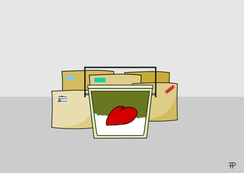 PAQUETE SIN ENTREGAR