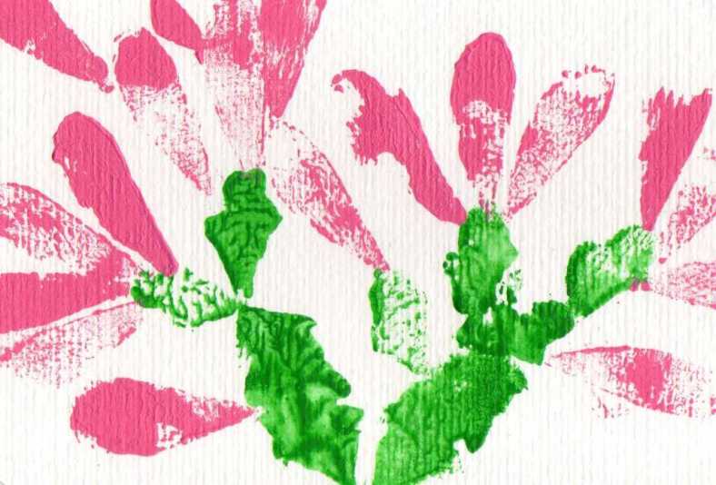 Y el cactus floreció-internet