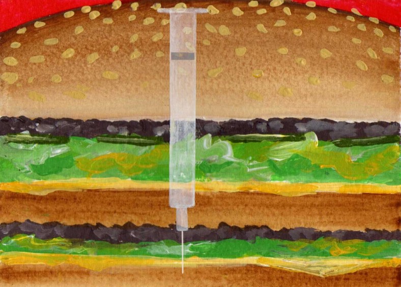 Esto no es una hamburguesa - internet