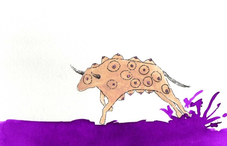 Toro-teta-vino - internet