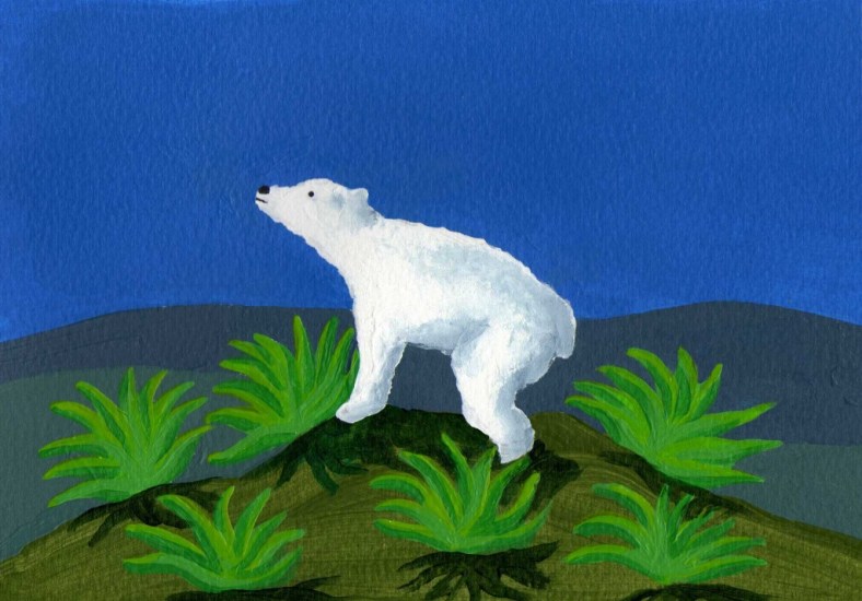 El oso tequilero - internet