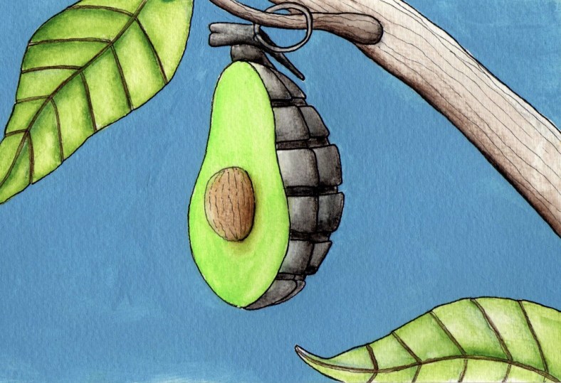 Aguacate contaminado - internet