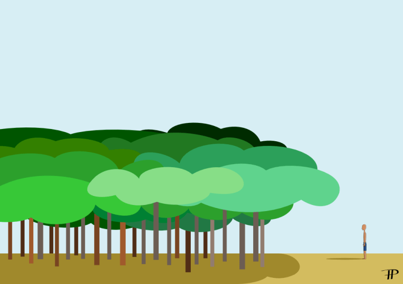 HOMBRE QUE PLANTA UN BOSQUE