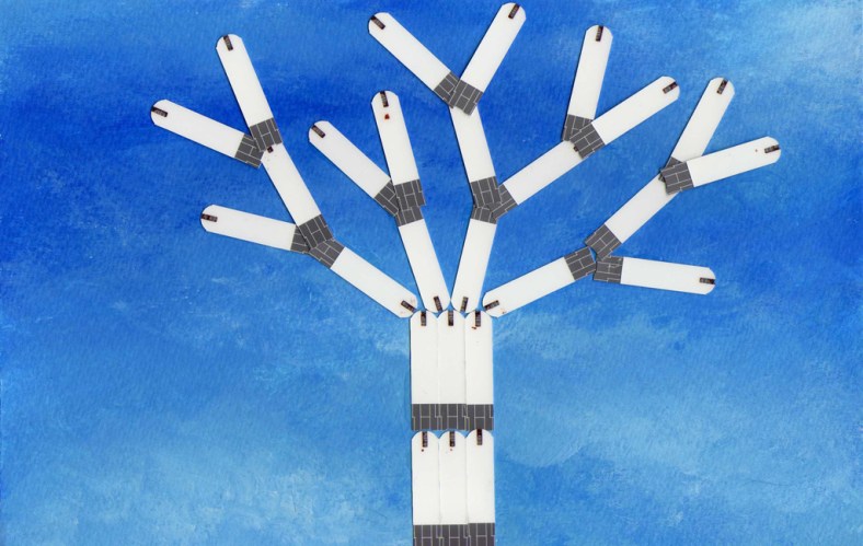 Árbol diabético - internet