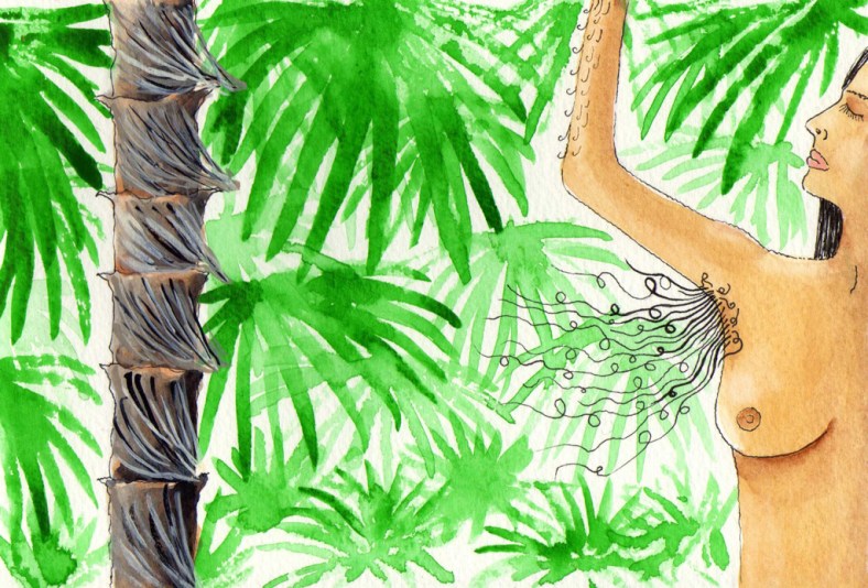 Deje de depilarme - internet