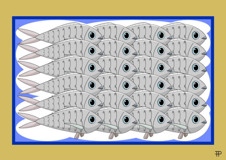 PESCADOS Y REFUGIADOS
