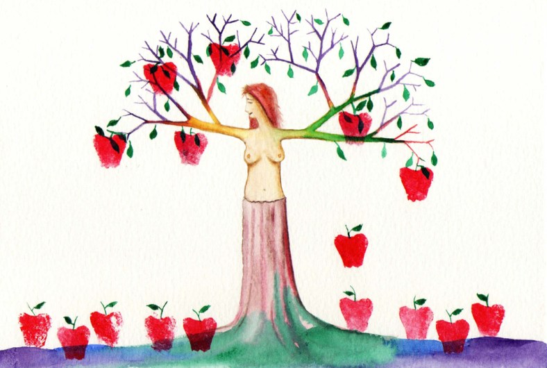 Árbore de mazás - internet