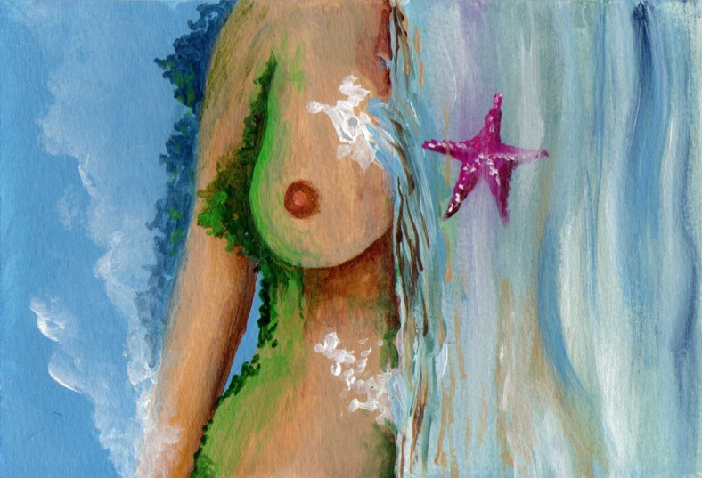 La leona y la estrella - internet