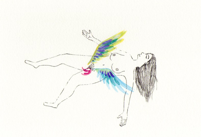 clitoris-alado-internet