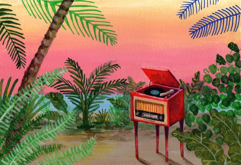 gladys-palmera-al-aire-internet